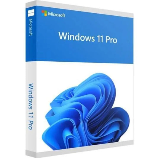 Microsoft Windows 11 Professionnel